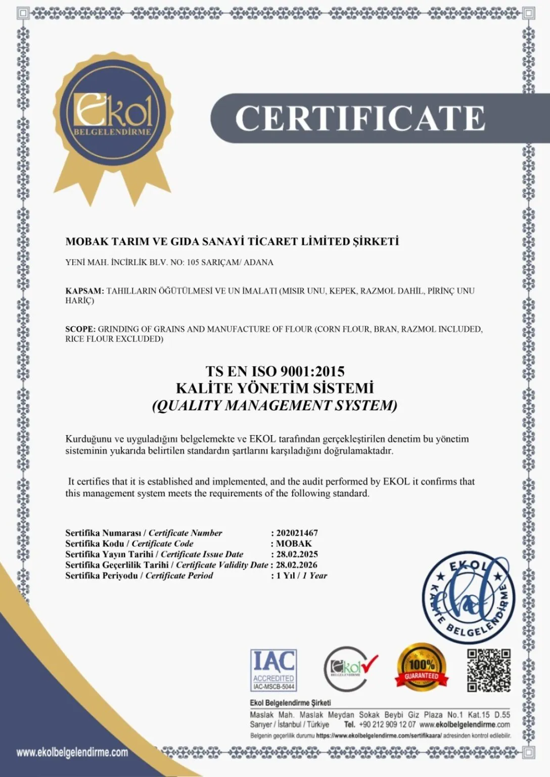 ISO 9001